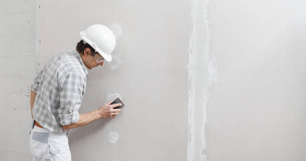 Best Drywall Texturing  in Rutledge, GA